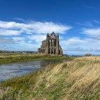 Crowded golf courses